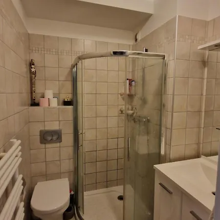 Rte Des Sanguinaires F3 4 Couchages Apartment